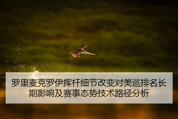luo-li-mai-ke-luo-yi-hui-gan-xi-jie-gai-bian-dui-mei-xun-pai-ming-chang-qi-ying-xiang-ji-sai-shi-tai-shi-ji-shu-lu-jing-2-881.jpg