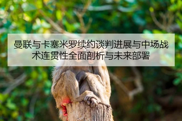 man-lian-yu-ka-sai-mi-luo-xu-yue-tan-pan-jin-zhan-yu-zhong-chang-zhan-shu-lian-guan-xing-quan-mian-pou-xi-yu-wei-lai-bu-2-871.jpg